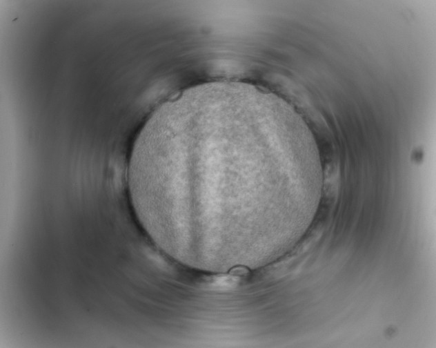 X0000102410474200808152009