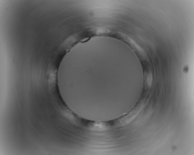 X0000102410475200808152009