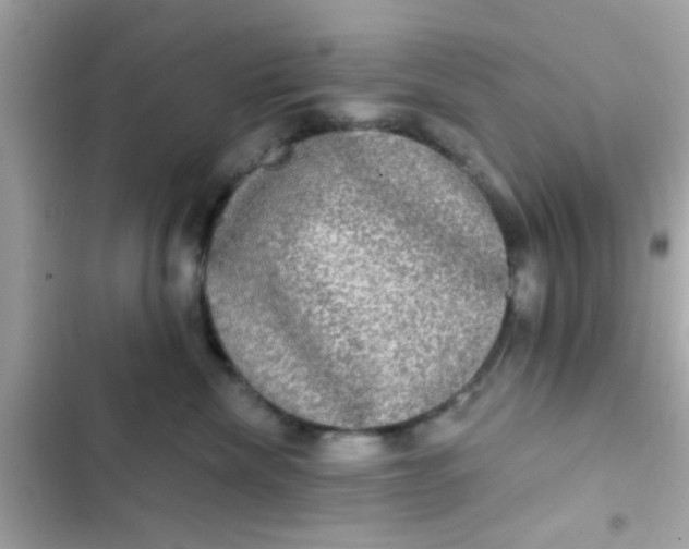 X0000102410476200808152009