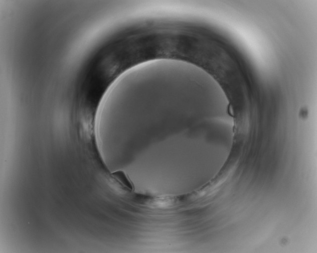 X0000102410479200808152009