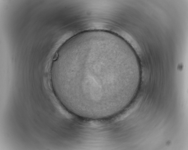 X0000102410481200808152009