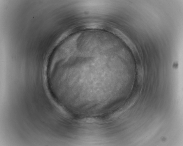 X0000102410482200808152009