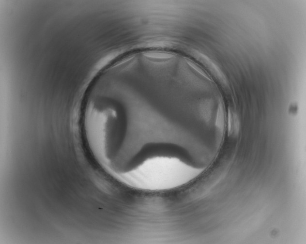 X0000102410483200808152009