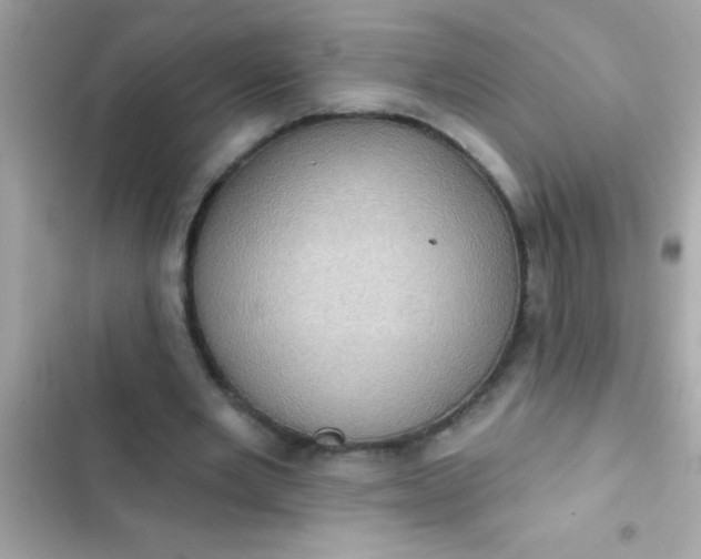 X0000102410485200808152008