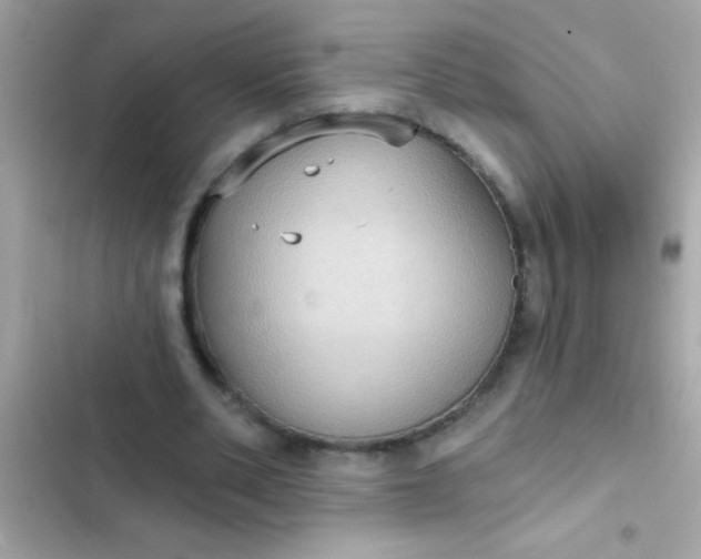 X0000102410486200808152008