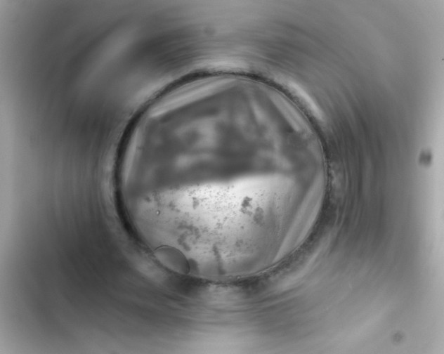 X0000102410487200808152008