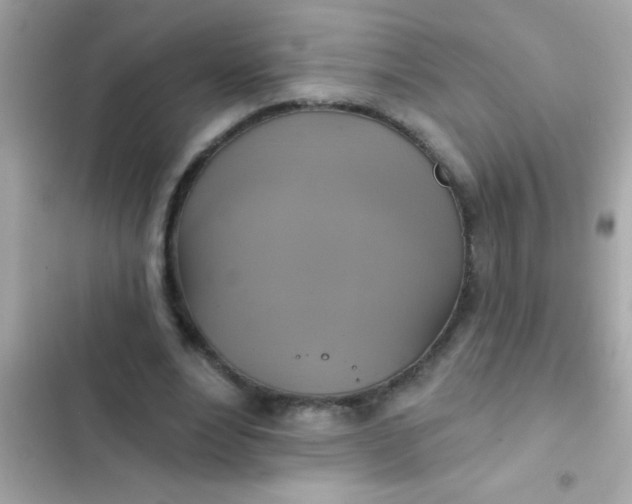 X0000102410488200808152008