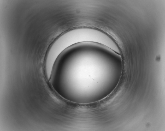 X0000102410489200808152008