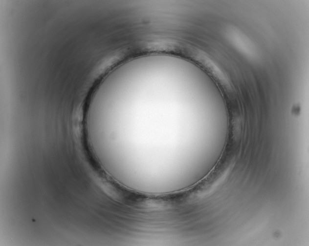 X0000102410490200808152008