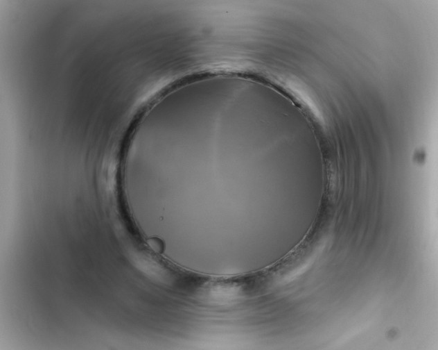 X0000102410491200808152008