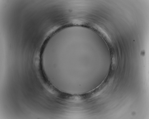 X0000102410492200808152008