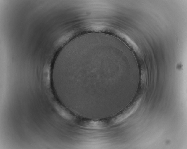 X0000102410493200808152008