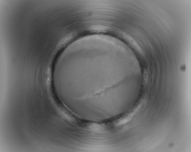 X0000102410494200808152008