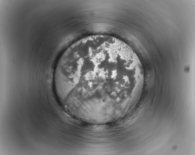 X0000102410495200808152008