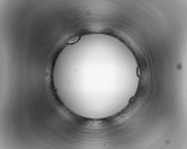 X0000102410497200808152008