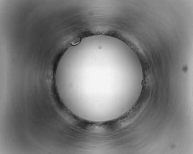 X0000102410498200808152008