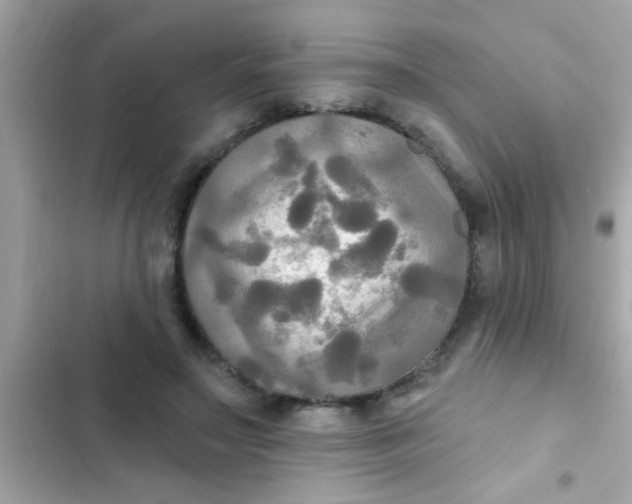 X0000102410499200808152008