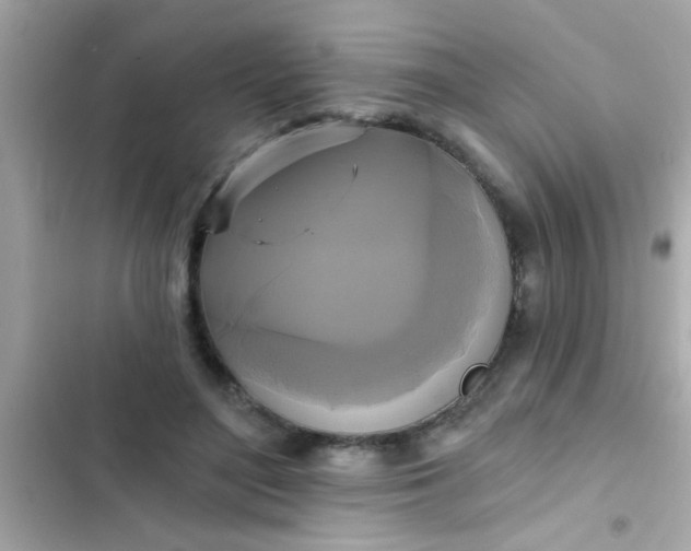 X0000102410500200808152008