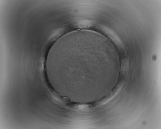 X0000102410501200808152008