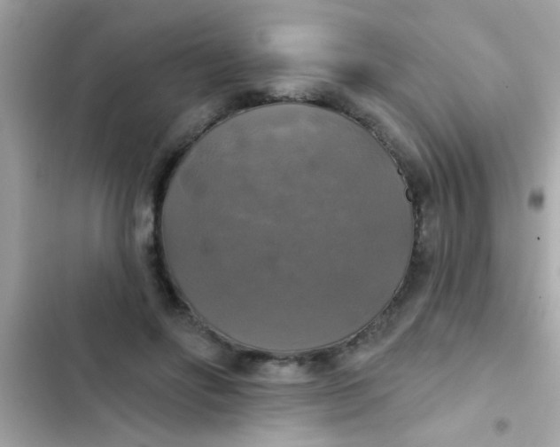 X0000102410502200808152008