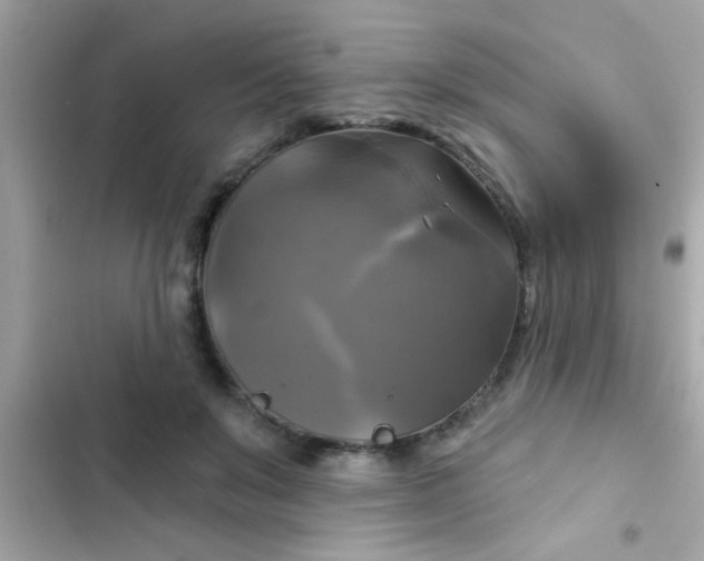 X0000102410503200808152008