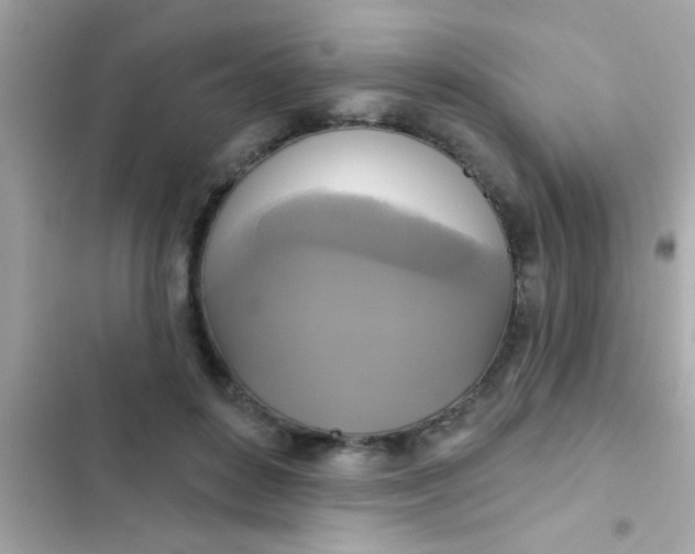 X0000102410504200808152008