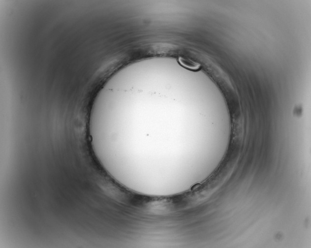 X0000102410505200808152008