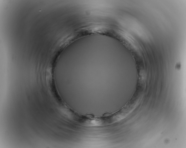 X0000102410506200808152008