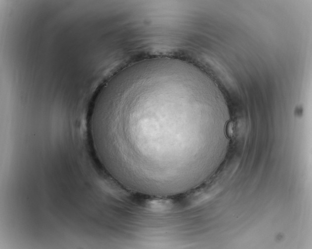 X0000102410508200808152008