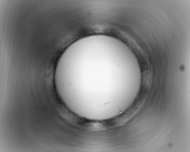 X0000102410509200808152008