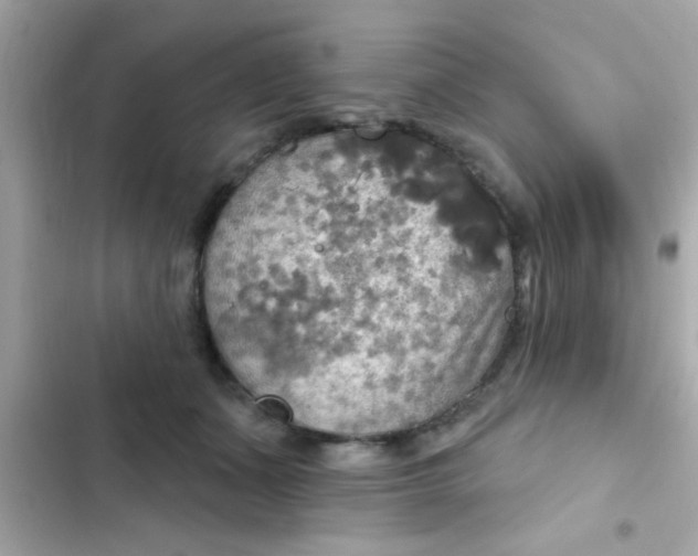 X0000102410511200808152008