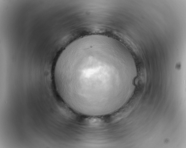 X0000102410512200808152008