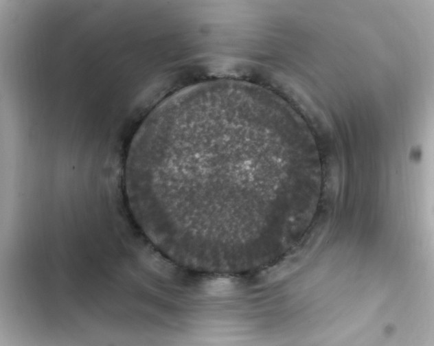 X0000102410513200808152008