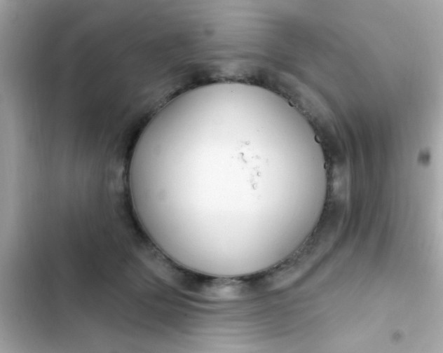 X0000102410514200808152008