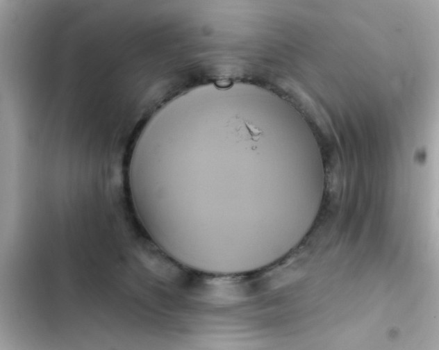 X0000102410516200808152008