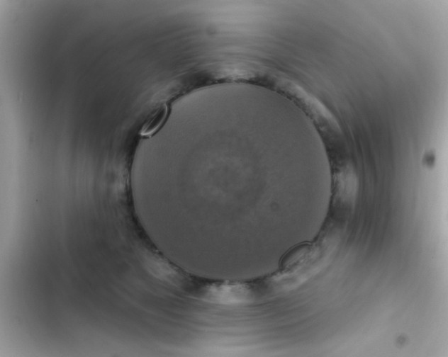 X0000102410517200808152008