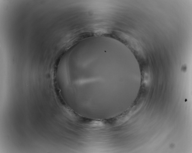 X0000102410519200808152008