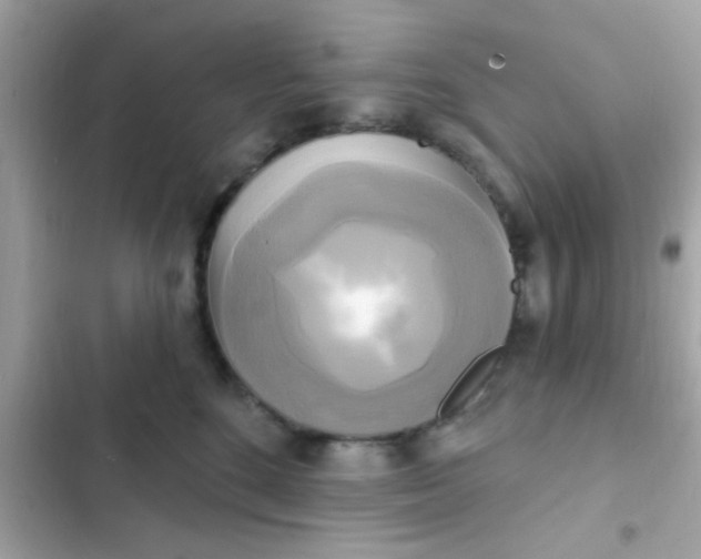 X0000102410520200808152008