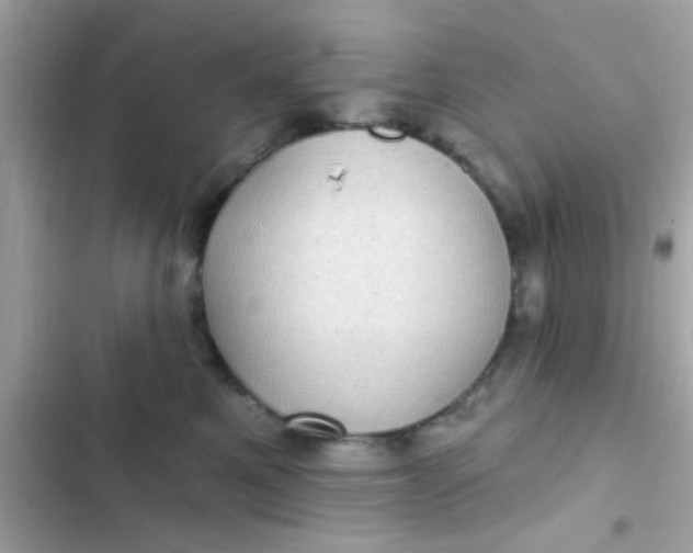 X0000102410521200808152008