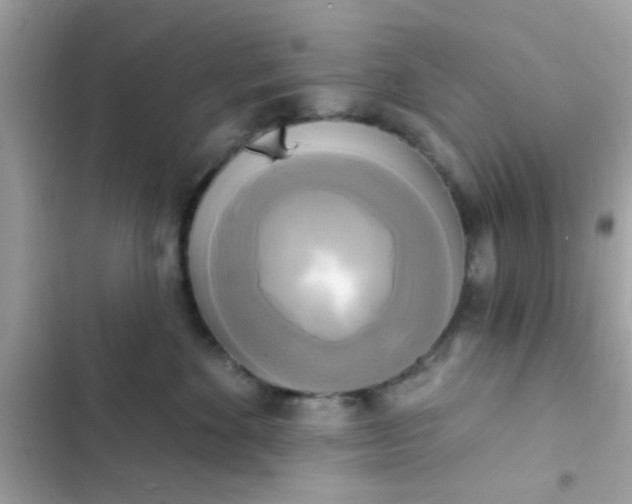 X0000102410524200808152008