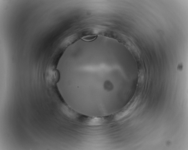 X0000102410527200808152008