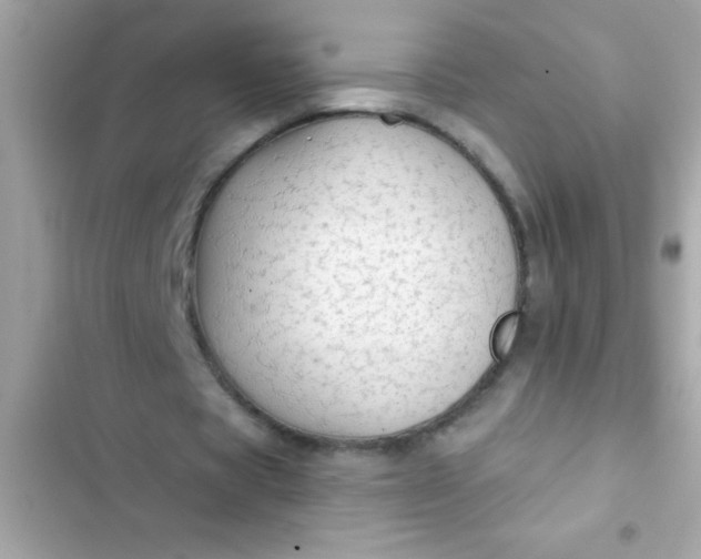 X0000102410529200808152007