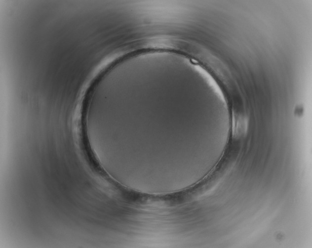 X0000102410531200808152007