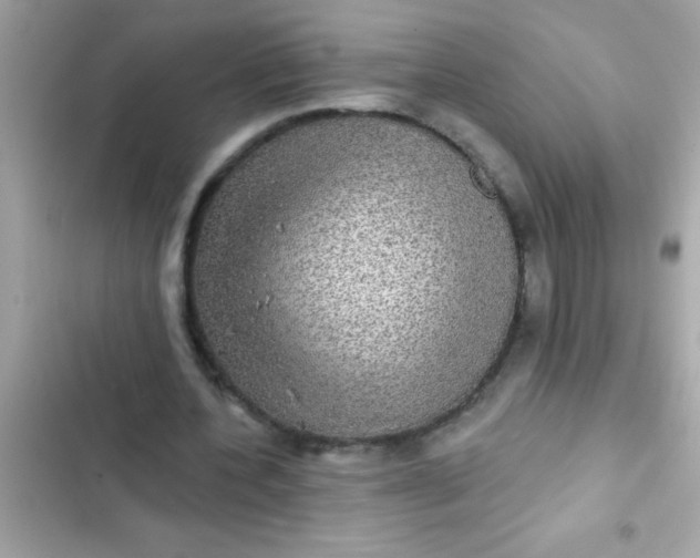 X0000102410532200808152007