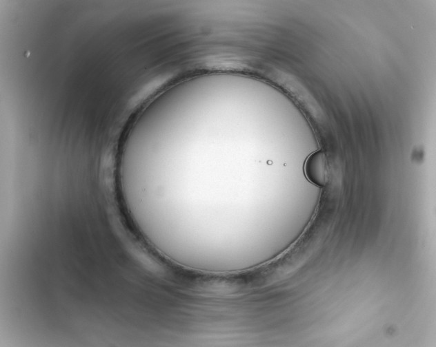 X0000102410533200808152007