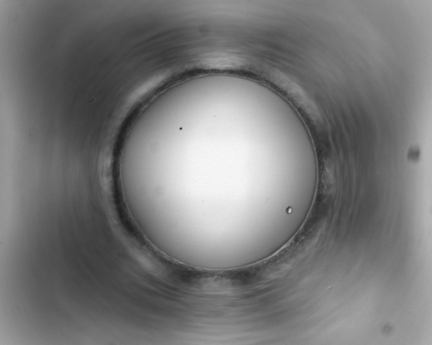 X0000102410535200808152007