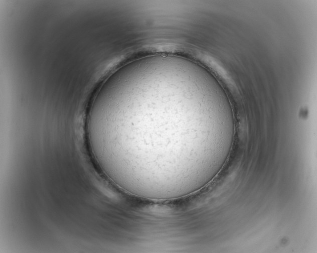 X0000102410537200808152007