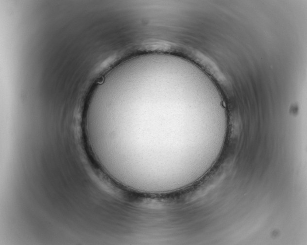 X0000102410538200808152007