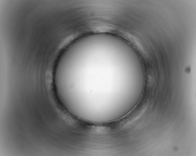 X0000102410539200808152007