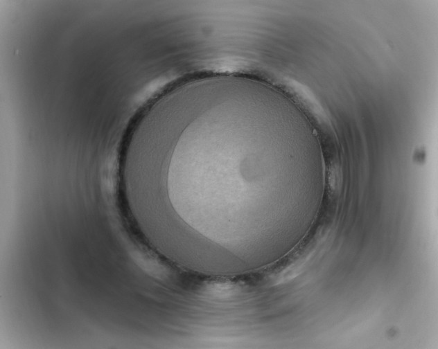 X0000102410540200808152007